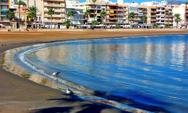 New Property for sale - Townhouse for sale - Fuente Alamo de Murcia - La Pinilla