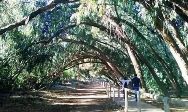 New Property for sale - Bungalow for sale - Torrevieja - Altos del Sol