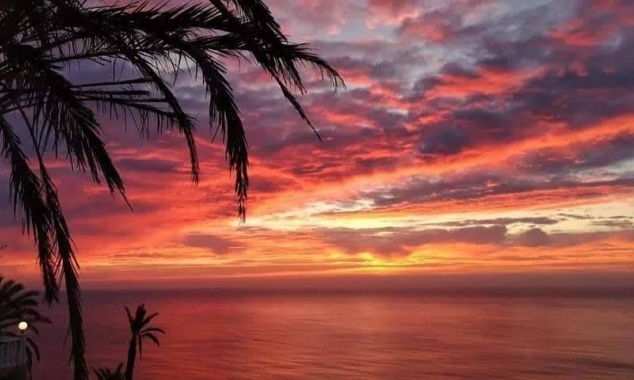 New Property for sale - Bungalow for sale - Torrevieja - Altos del Sol