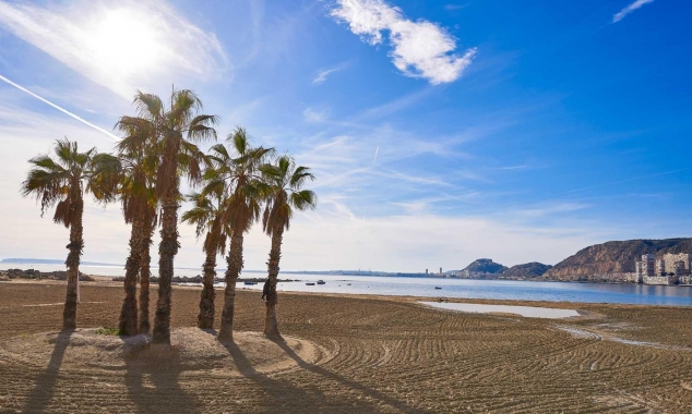 Propriété neuve à vendre - Villa à vendre - Els Poblets - Partida Barranquets