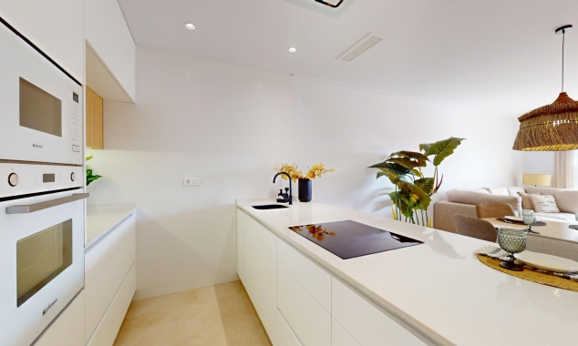 New Property for sale - Penthouse - Guardamar del Segura - El Raso