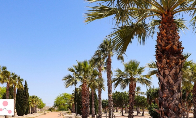 New Property for sale - Villa for sale - San Fulgencio - La Escuera