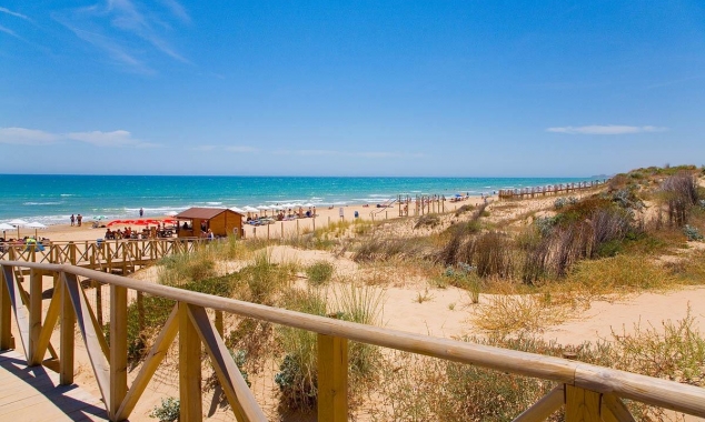 Nueva propiedad en venta - Apartamento en venta - Guardamar del Segura - Guardamar del Segura - Town Centre