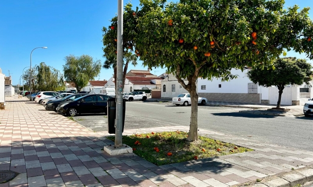 Property for sale - Bungalow for sale - Torrevieja - La Siesta