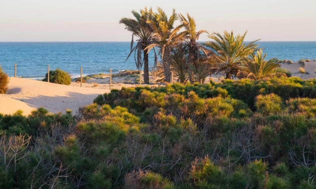 New Property for sale - Penthouse - Guardamar del Segura - Avda del Puerto