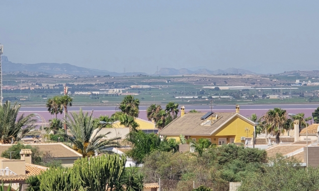 Property for sale - Bungalow for sale - Torrevieja - El Chaparral