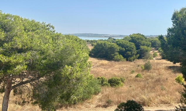 Property for sale - Bungalow for sale - Torrevieja - El Chaparral