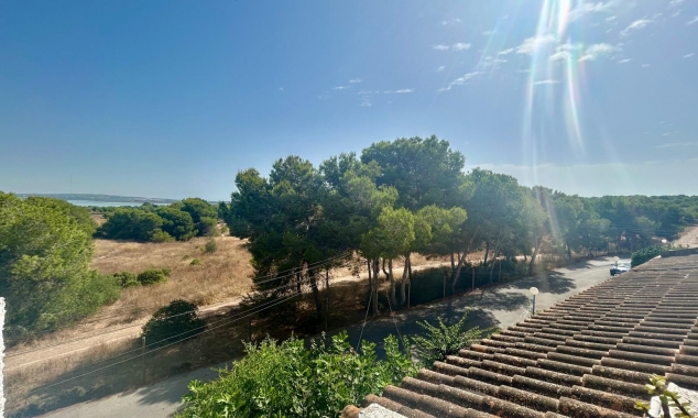 Property for sale - Bungalow for sale - Torrevieja - El Chaparral