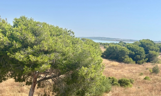 Property for sale - Bungalow for sale - Torrevieja - El Chaparral