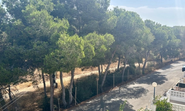 Property for sale - Bungalow for sale - Torrevieja - El Chaparral