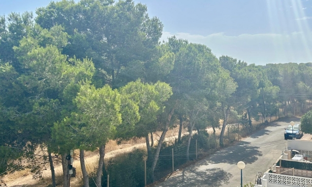 Property for sale - Bungalow for sale - Torrevieja - El Chaparral