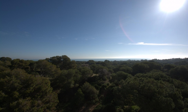 New Property for sale - Apartment for sale - Guardamar del Segura - Guardamar del Segura - Town Centre