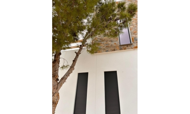 New Property for sale - Villa for sale - Pinoso - Casas Pastor