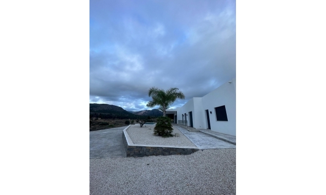 New Property for sale - Villa for sale - Pinoso - Casas Pastor