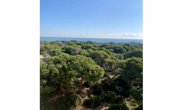 New Property for sale - Apartment for sale - Guardamar del Segura - Guardamar del Segura - Town Centre