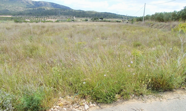 Archived - Plot for sale - Salinas - Salinas Central
