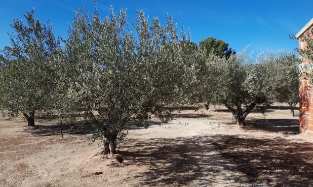 Archived - Finca for sale - Caudete
