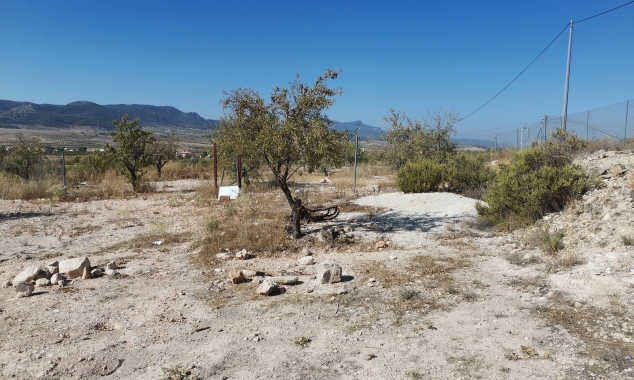 Archived - Finca for sale - Pinoso