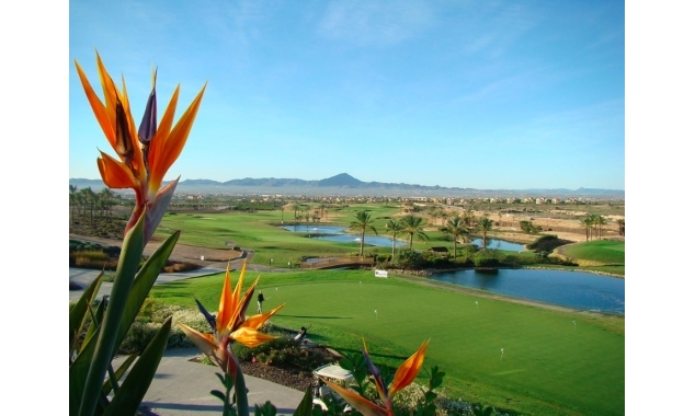New Property for sale - Apartment for sale - Fuente Alamo de Murcia - Hacienda del Alamo Golf Resort